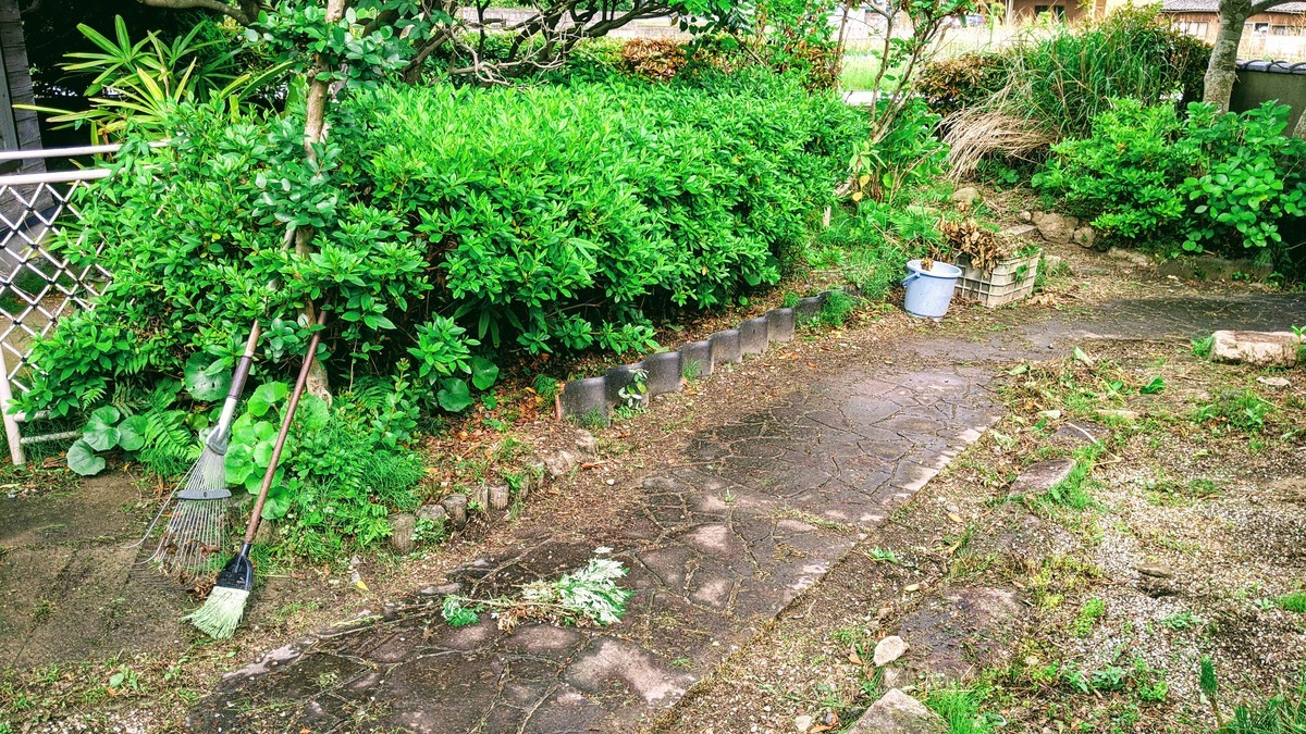 f:id:kab-log:20210516160835j:plain