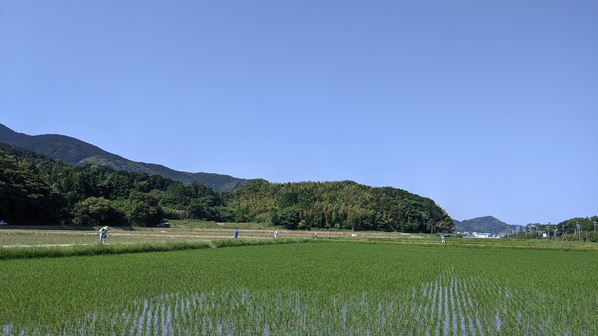 f:id:kab-log:20210530085728j:plain