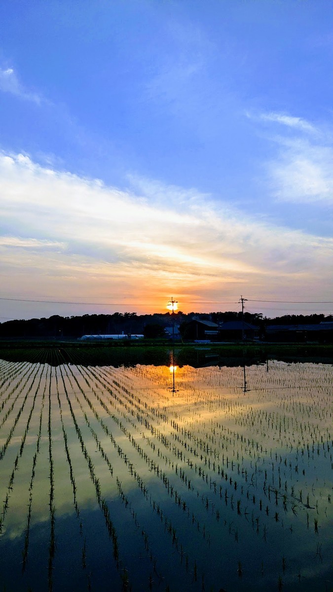 f:id:kab-log:20210531190056j:plain