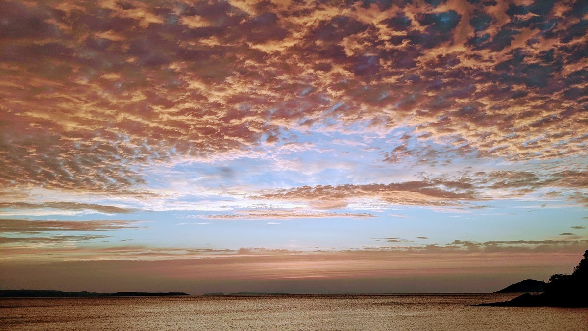 f:id:kab-log:20210605193129j:plain