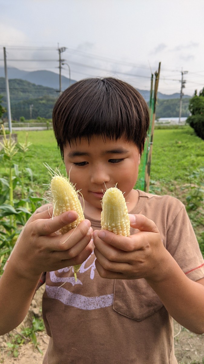 f:id:kab-log:20210614180826j:plain