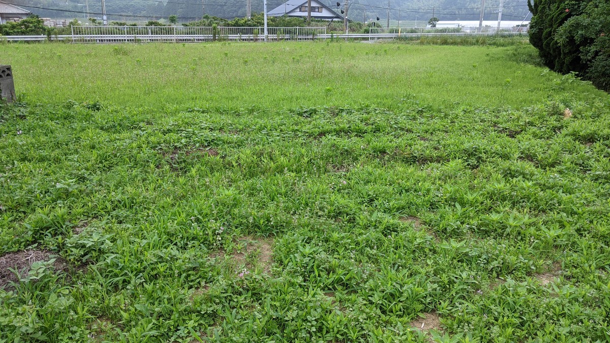 f:id:kab-log:20210615131724j:plain