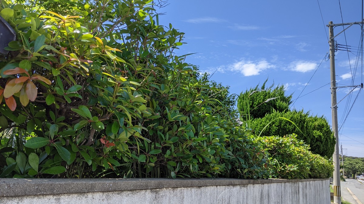 f:id:kab-log:20210620141955j:plain