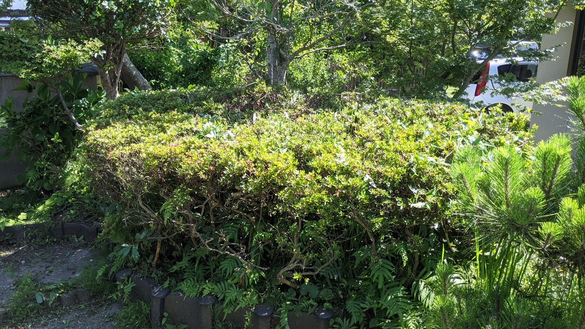 f:id:kab-log:20210620145706j:plain