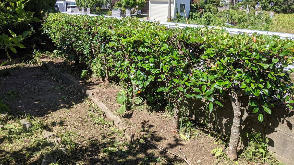 f:id:kab-log:20210620150139j:plain