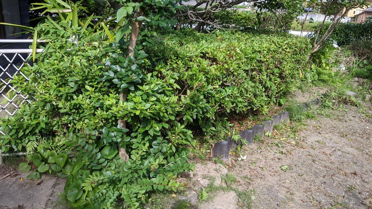 f:id:kab-log:20210620161714j:plain
