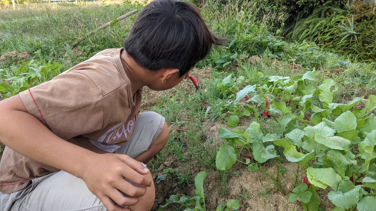f:id:kab-log:20211010065705j:plain