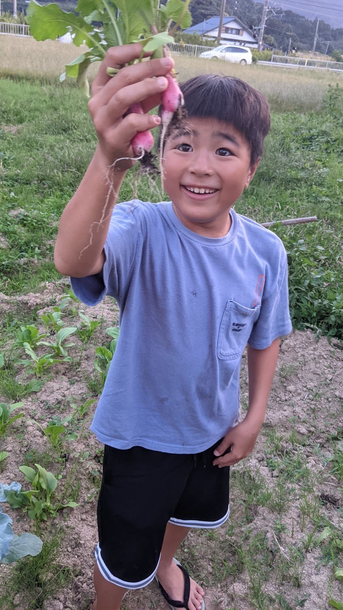 f:id:kab-log:20211010174355j:plain