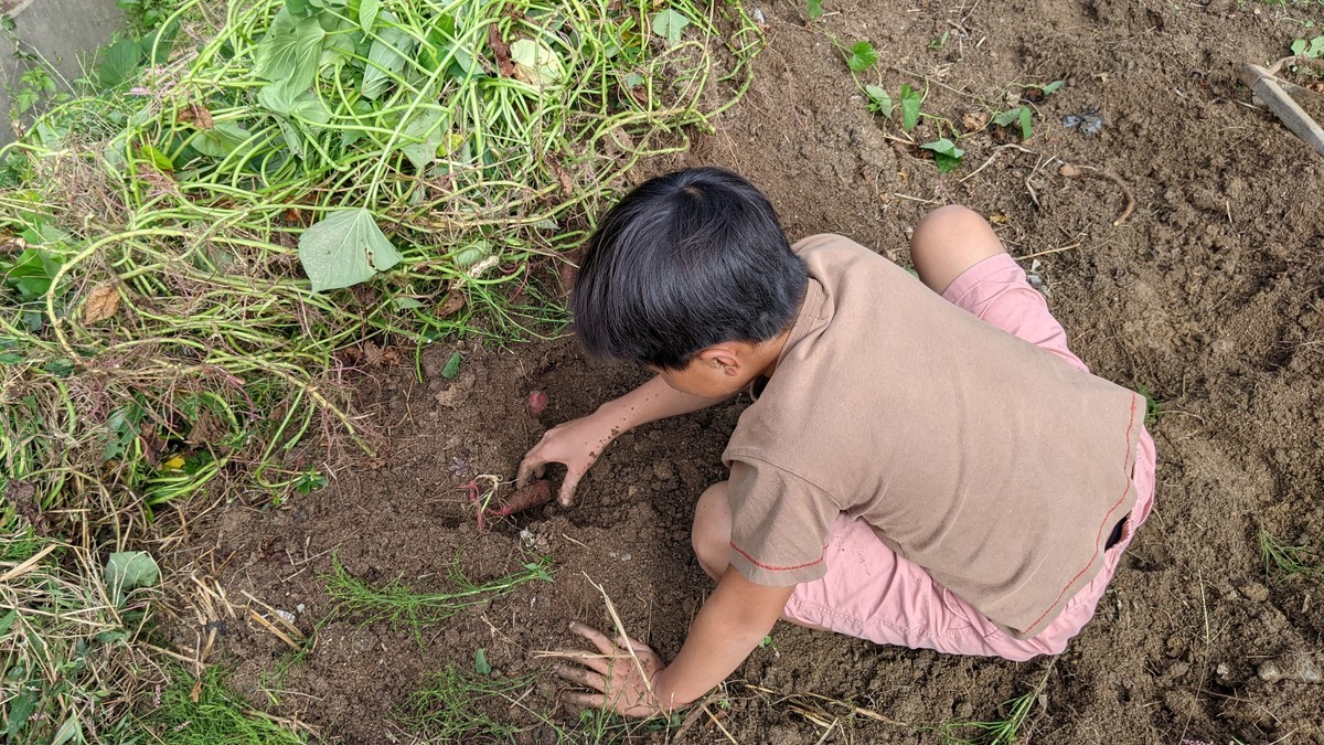 f:id:kab-log:20211023120617j:plain