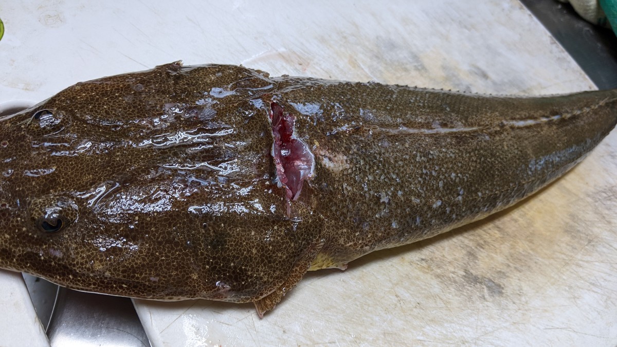 f:id:kab-log:20211027163323j:plain