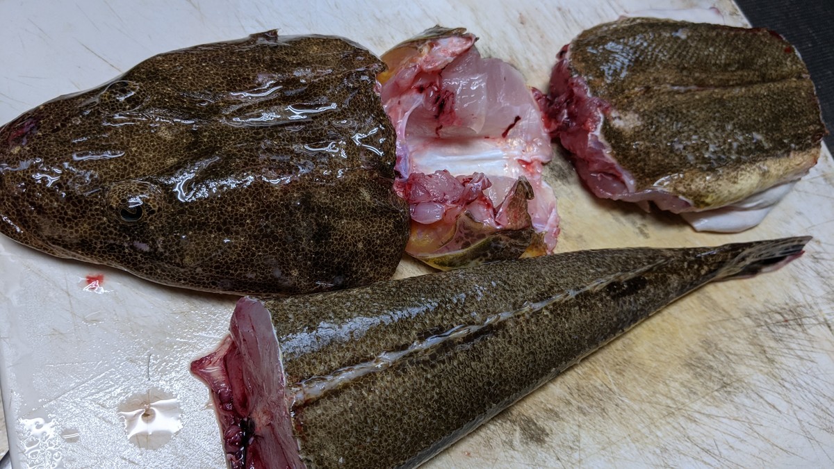 f:id:kab-log:20211027164119j:plain