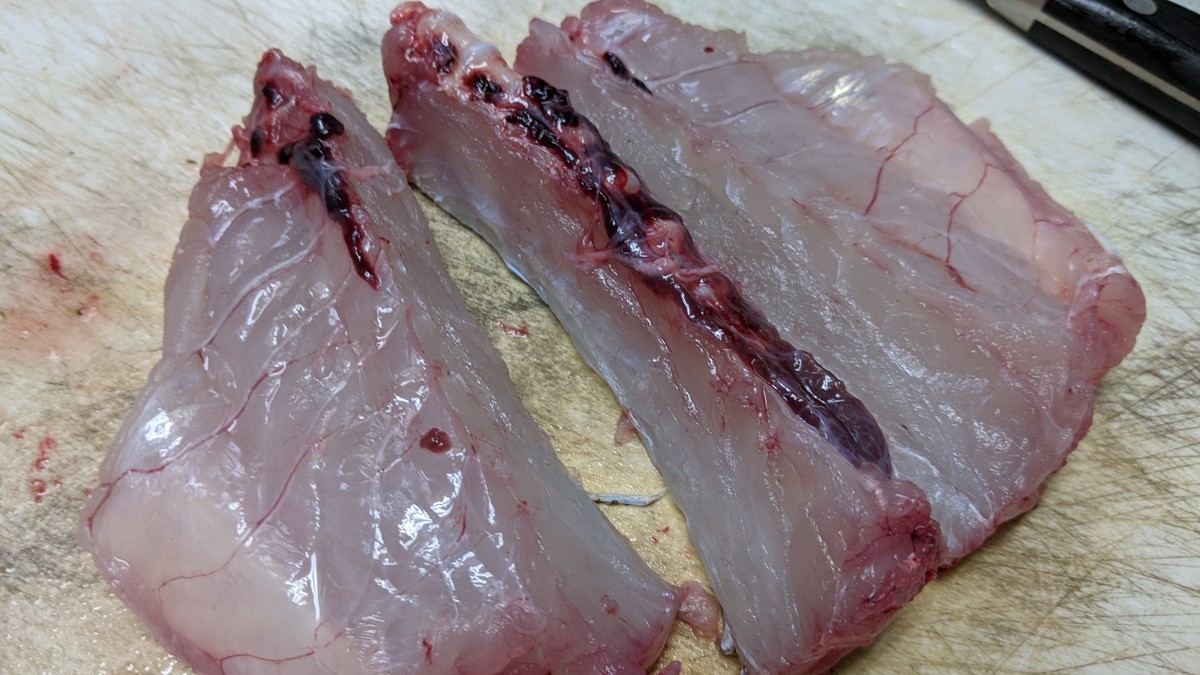 f:id:kab-log:20211027164728j:plain