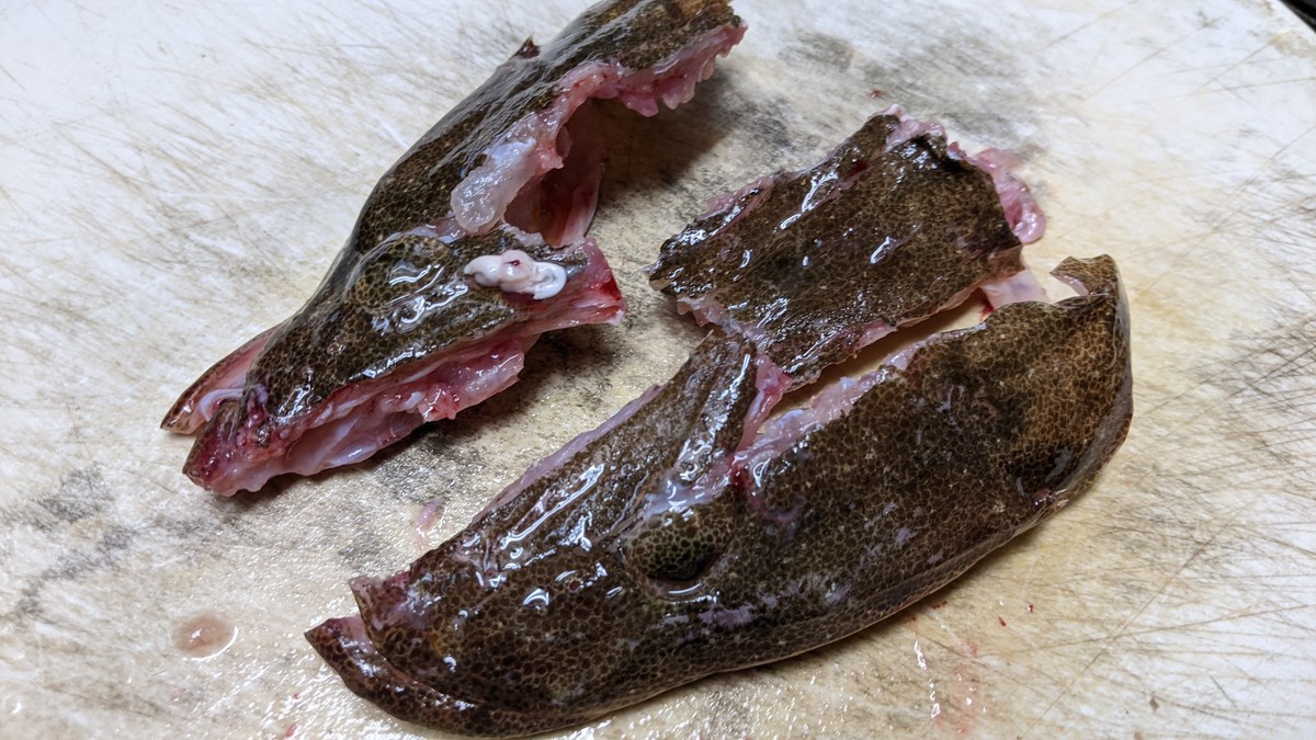 f:id:kab-log:20211027170048j:plain