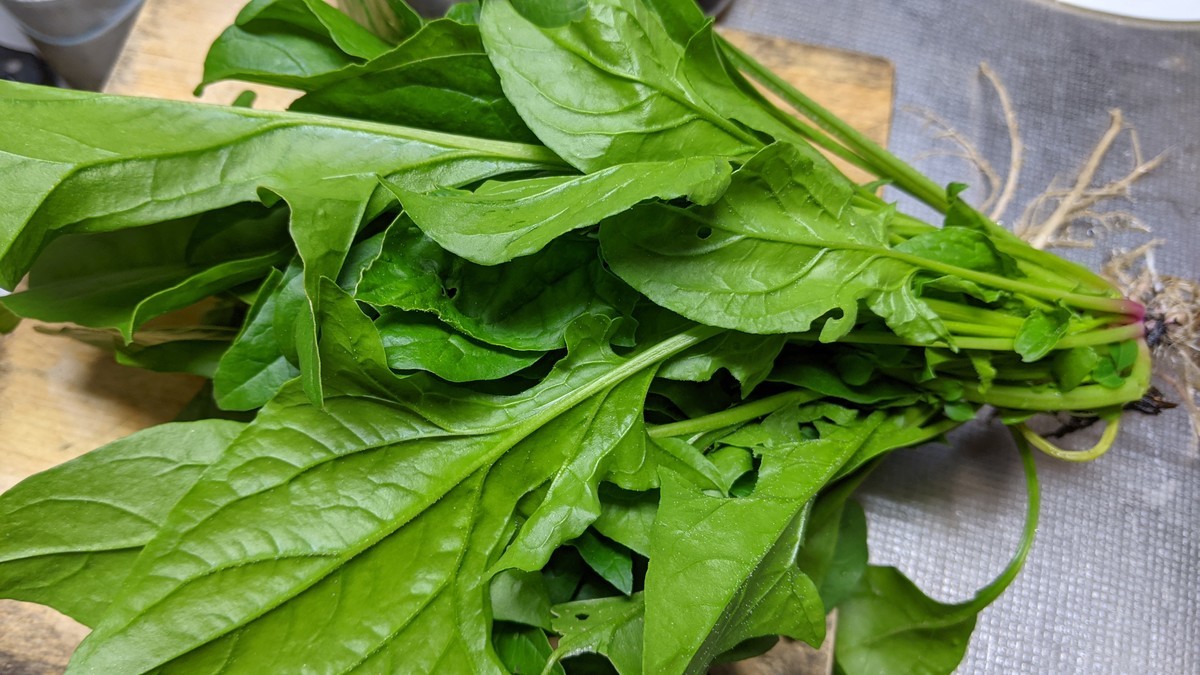 f:id:kab-log:20211104171955j:plain