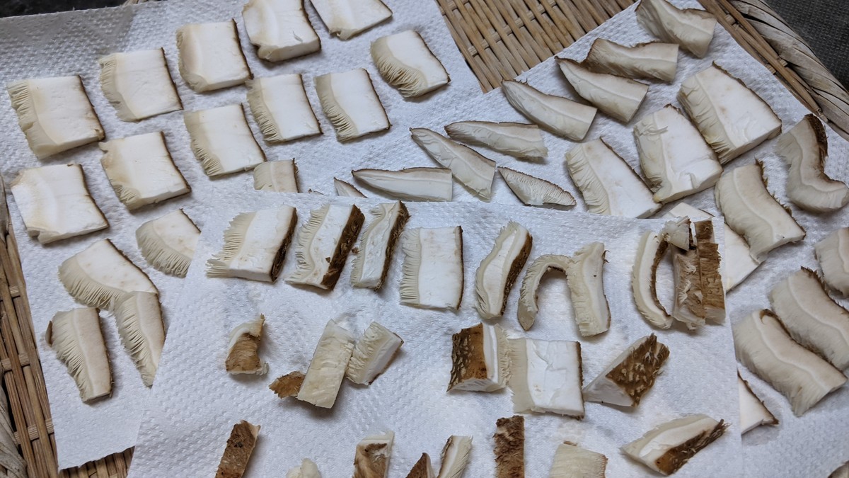 f:id:kab-log:20211111182510j:plain