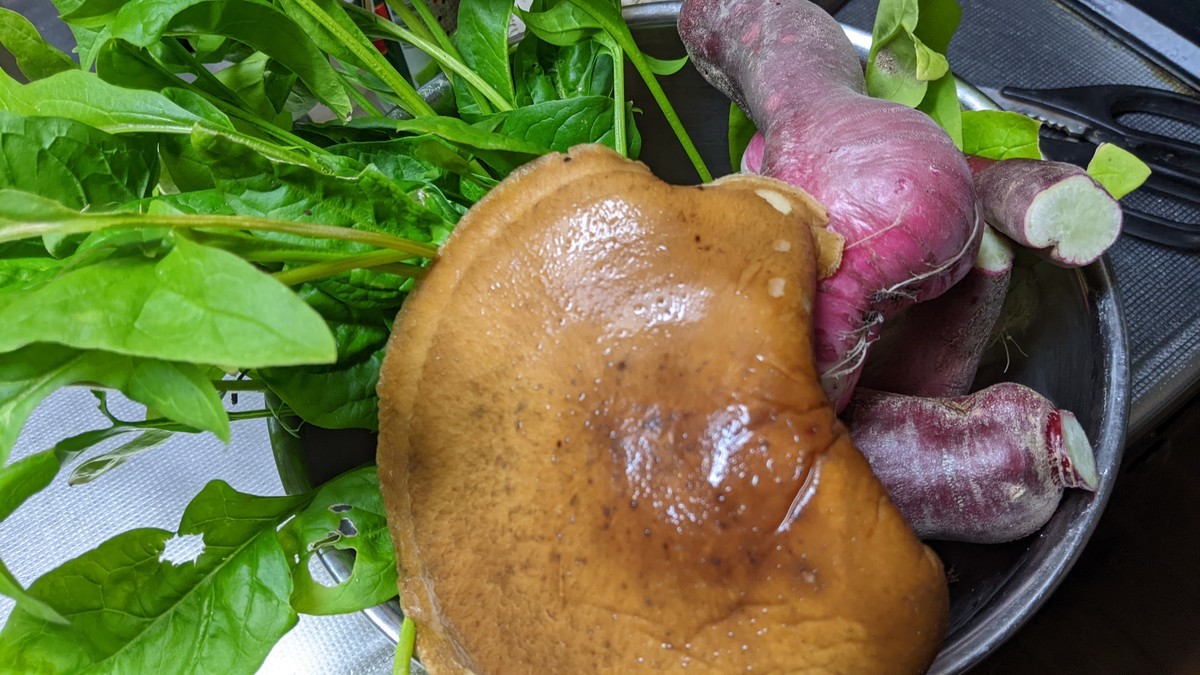 f:id:kab-log:20211216163918j:plain