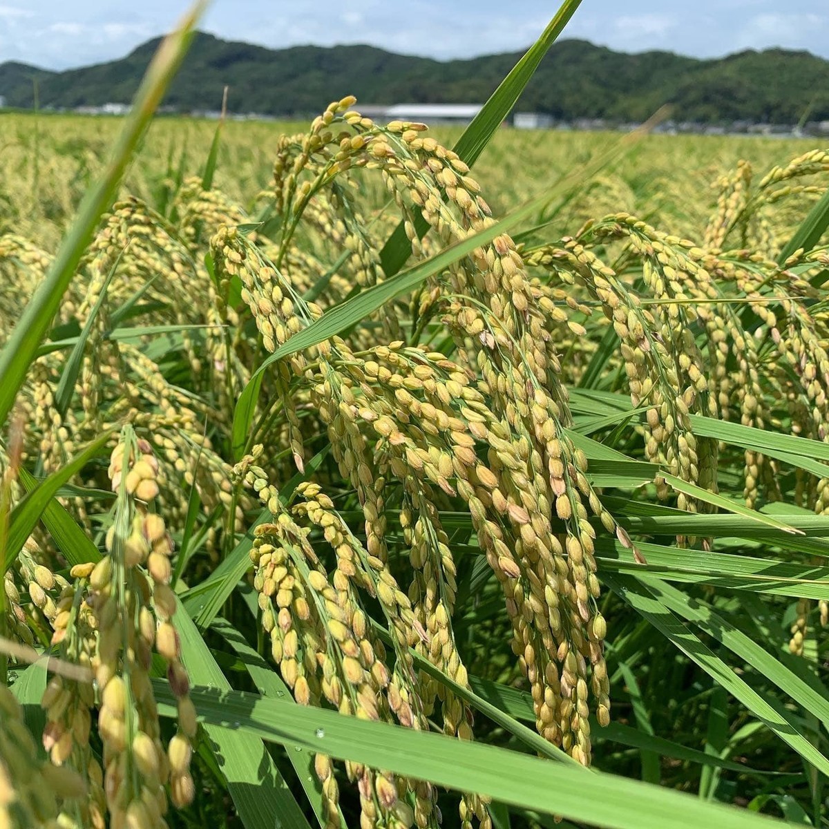 f:id:kab-log:20211223191347j:plain