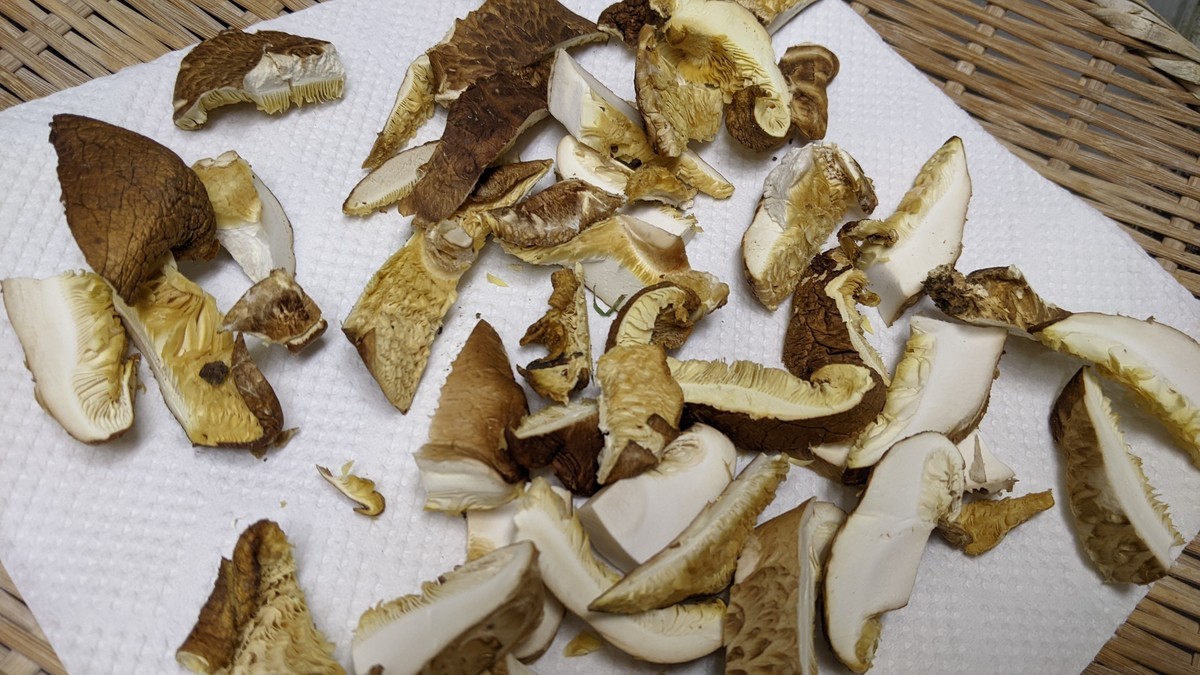 f:id:kab-log:20211229124120j:plain