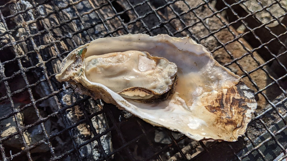 f:id:kab-log:20220104123721j:plain