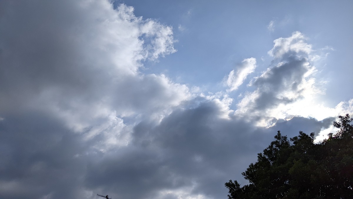 f:id:kab-log:20220130150645j:plain