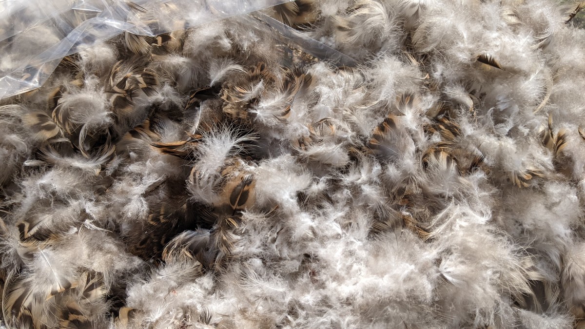 f:id:kab-log:20220211140946j:plain