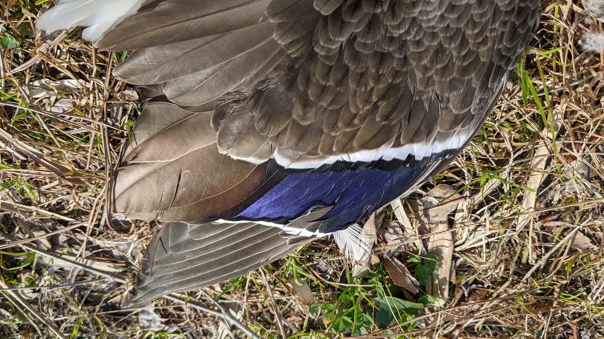 f:id:kab-log:20220211140949j:plain