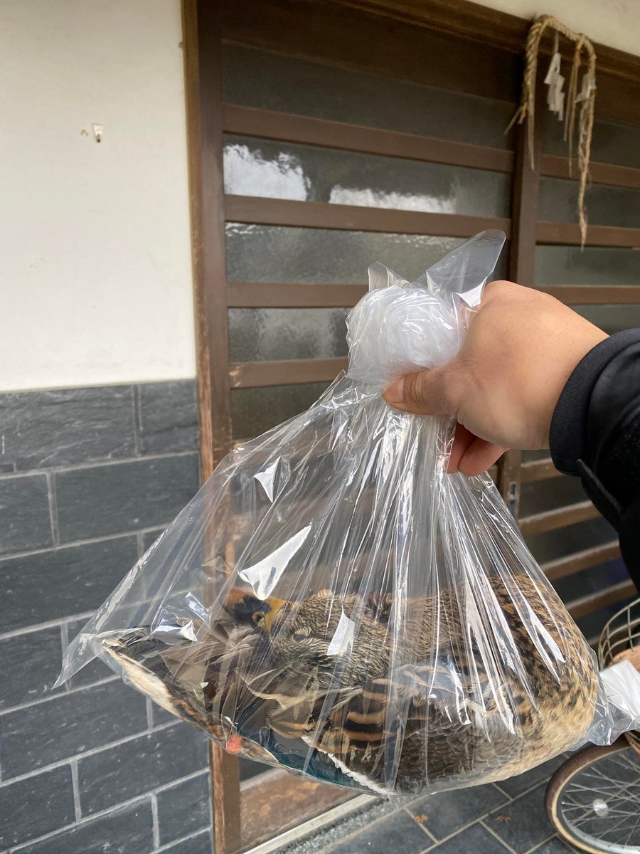 f:id:kab-log:20220211181730j:plain