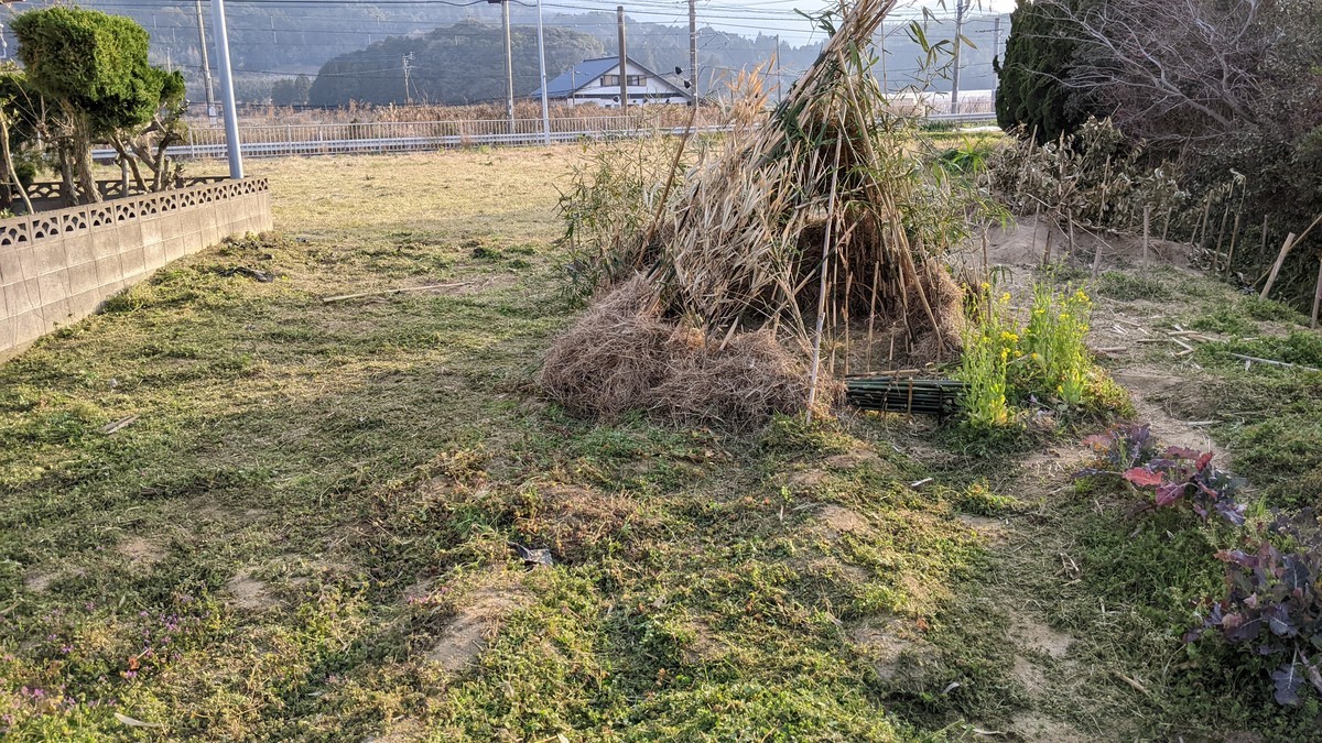 f:id:kab-log:20220310171105j:plain