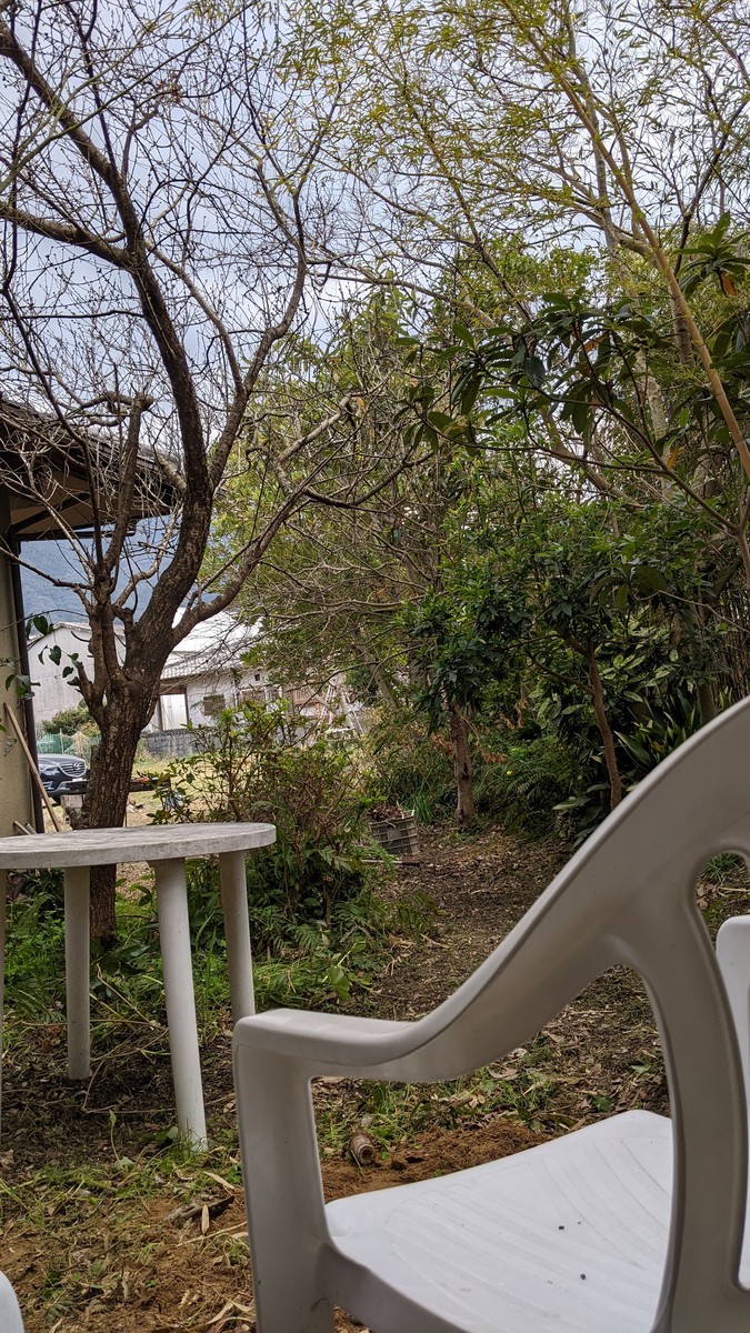 f:id:kab-log:20220312150018j:plain