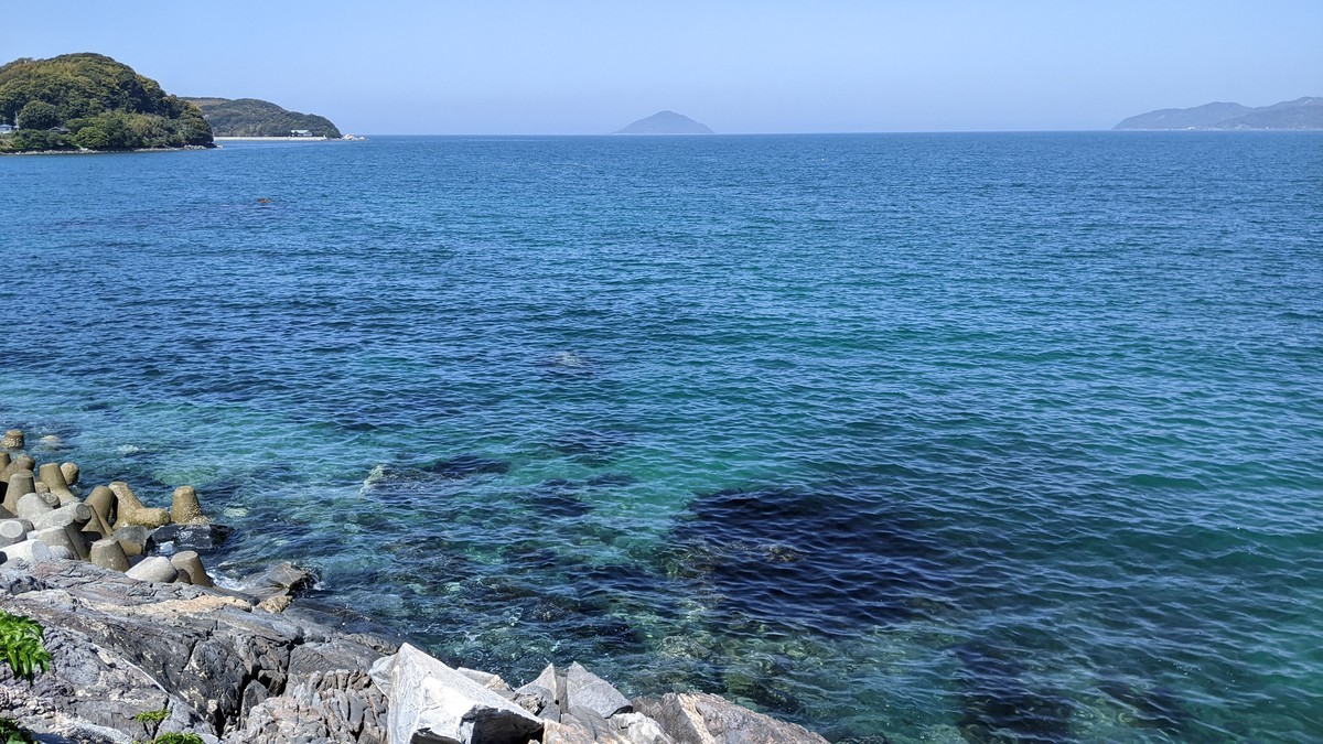 f:id:kab-log:20220408112632j:plain