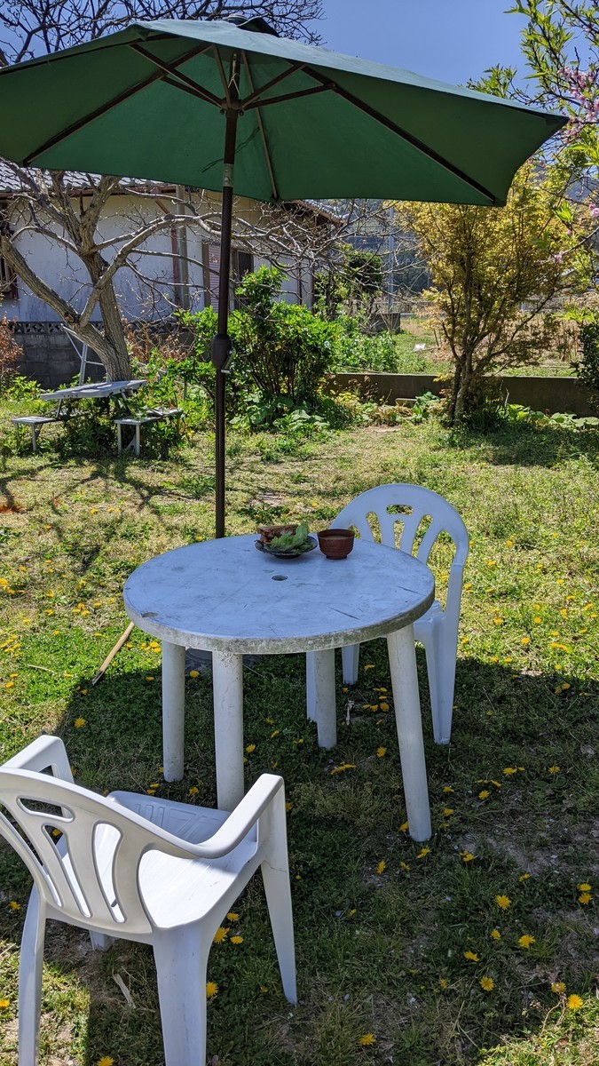 f:id:kab-log:20220409115804j:plain