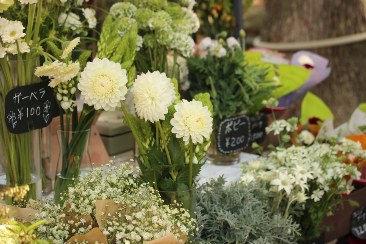 f:id:kab-log:20220417094000j:plain