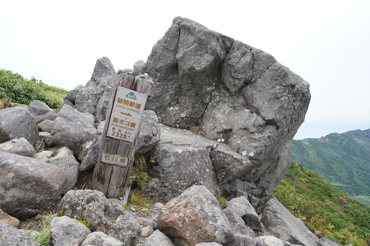f:id:kabayakijp:20200925000458j:plain