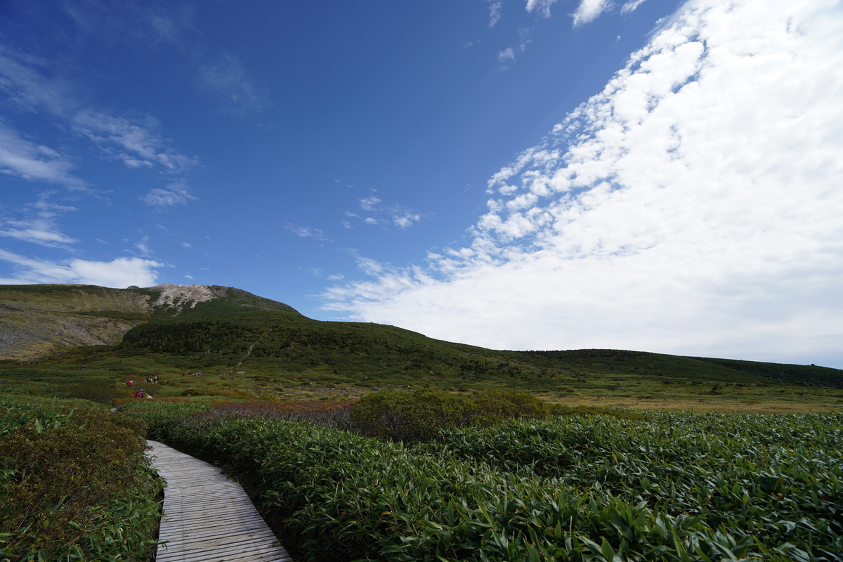 f:id:kabayakijp:20200925005254j:plain