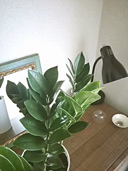 f:id:kabbalah-suuhi358:20190907173016j:plain f:id:kabbalah-suuhi358:20190907173016j:plain