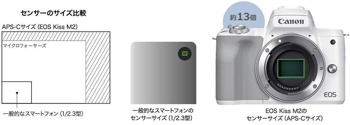 Canon EOS Kiss M2レビュ－ 誰でも簡単にミラーレスの世界に浸かれるよ