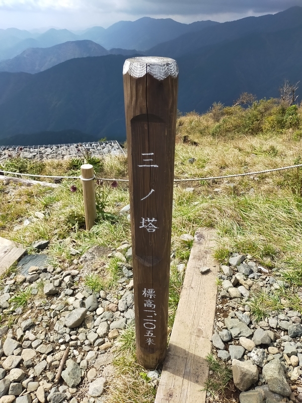 山採りハイノキ　/ 530 山採りハイノキ。 - メルカリ