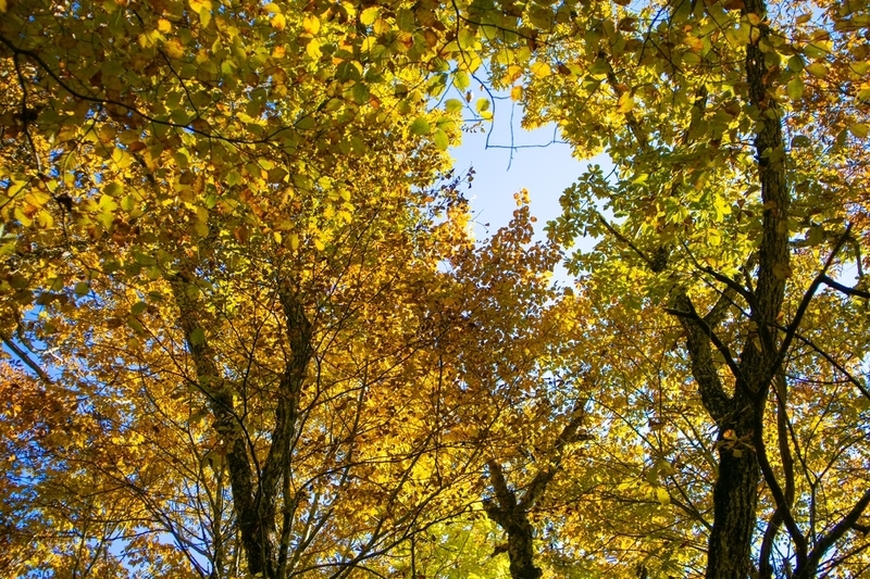 f:id:kabbocha7:20211103111345j:plain