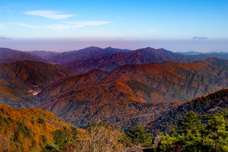 f:id:kabbocha7:20211103111413j:plain