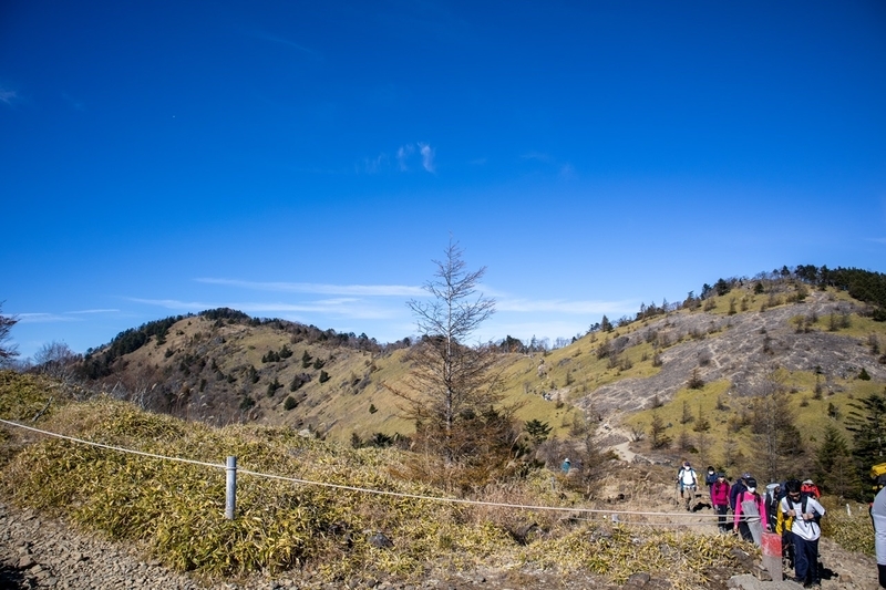 f:id:kabbocha7:20211103111424j:plain