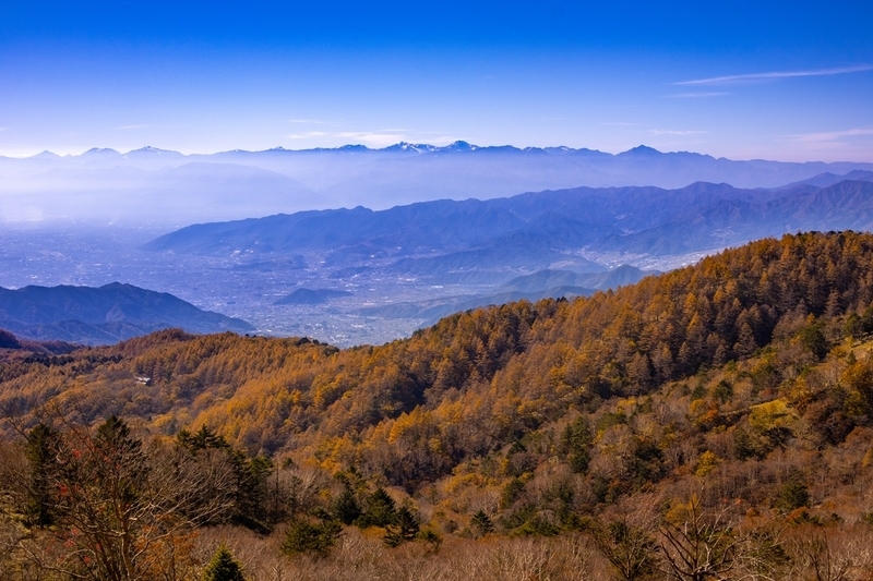 f:id:kabbocha7:20211103111442j:plain