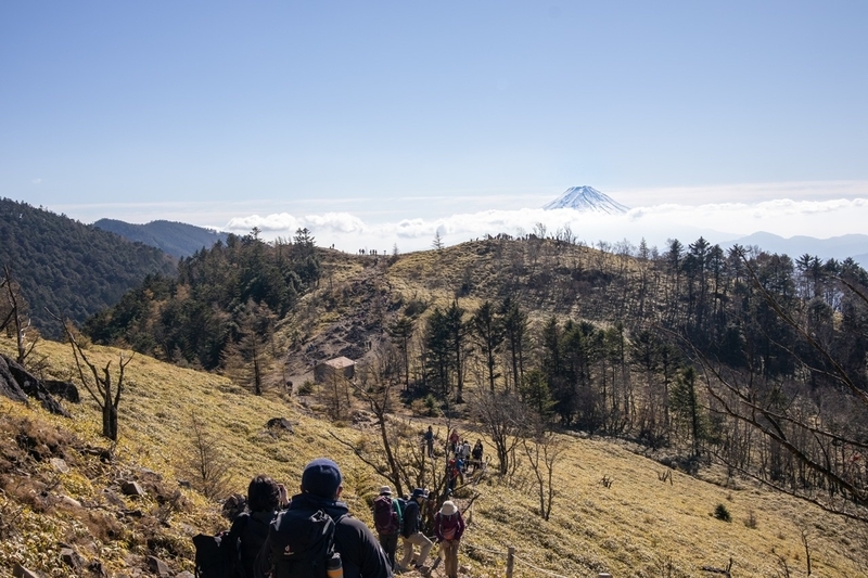 f:id:kabbocha7:20211103111446j:plain