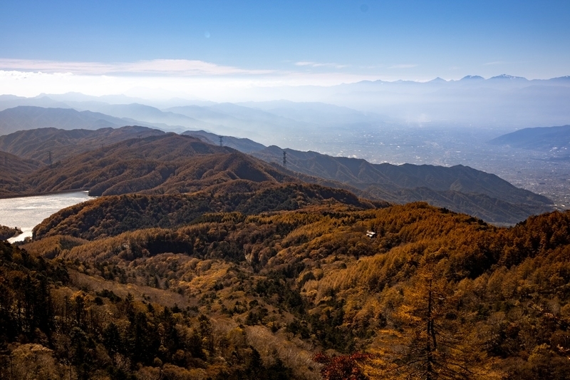 f:id:kabbocha7:20211103111453j:plain