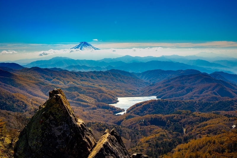 f:id:kabbocha7:20211103111500j:plain