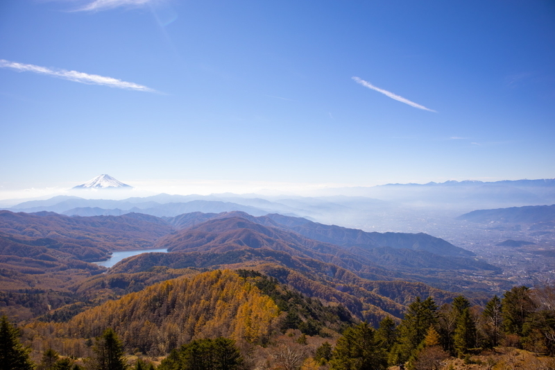 f:id:kabbocha7:20211103111514j:plain