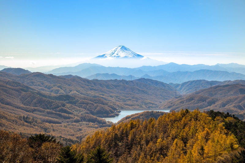 f:id:kabbocha7:20211103111529j:plain