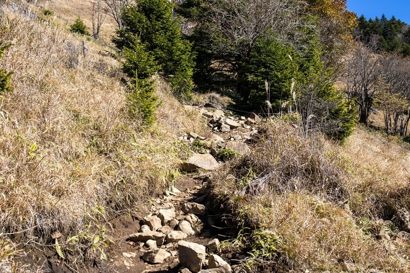 f:id:kabbocha7:20211103111532j:plain