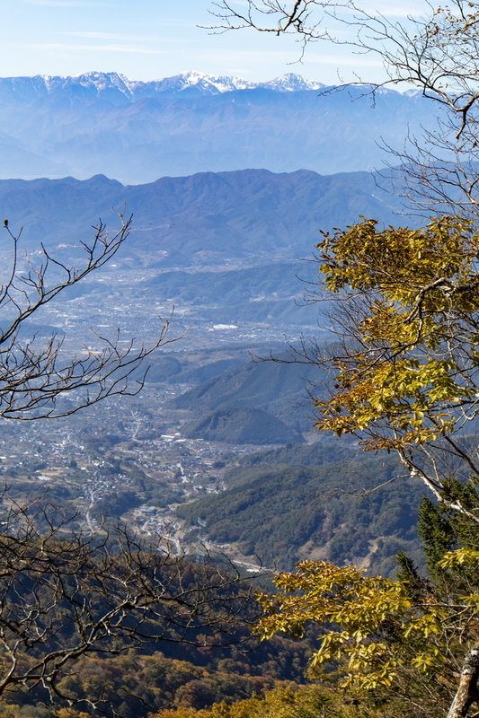 f:id:kabbocha7:20211103111546j:plain