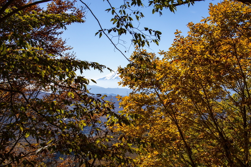 f:id:kabbocha7:20211103111557j:plain