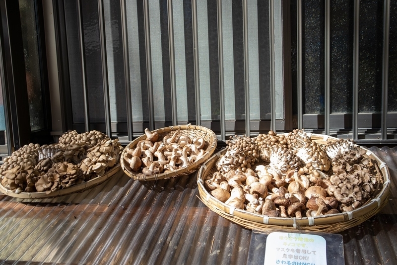 f:id:kabbocha7:20211103111604j:plain